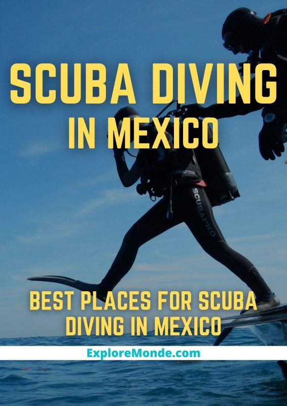 9 Best Places For Scuba Diving In Mexico