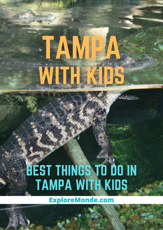 FUN THINGS TO DO IN TAMPA WITH KIDS