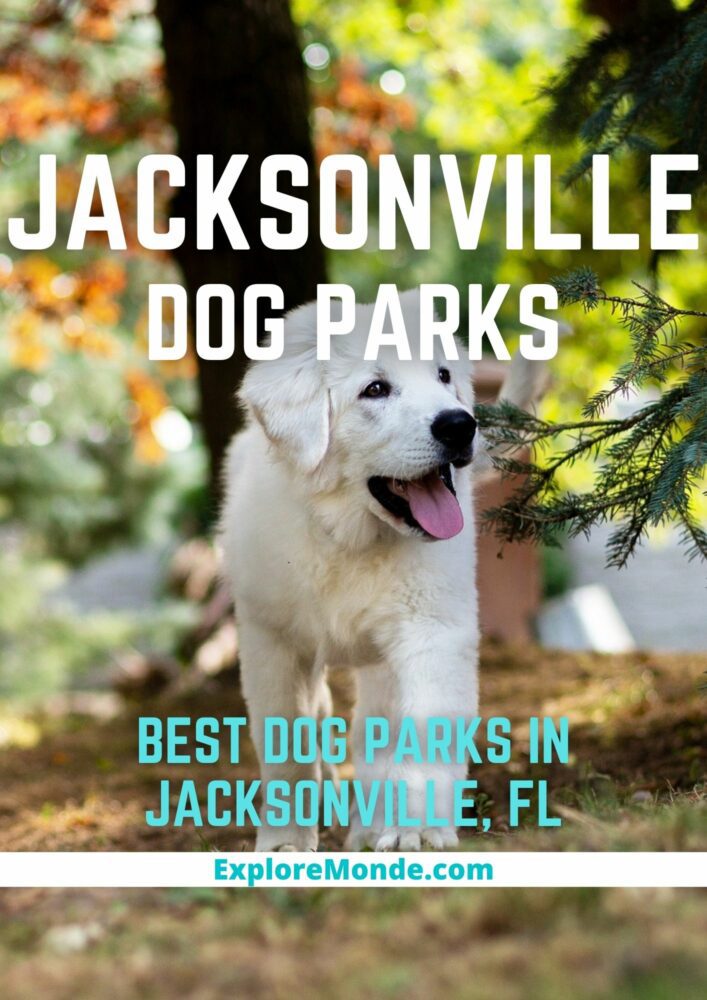 8 Best Dog Parks In Jacksonville, Florida