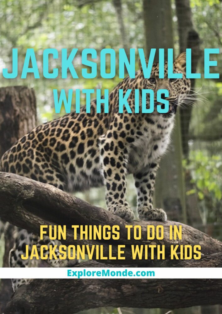 9 Fun Things To Do In Jacksonville With Kids