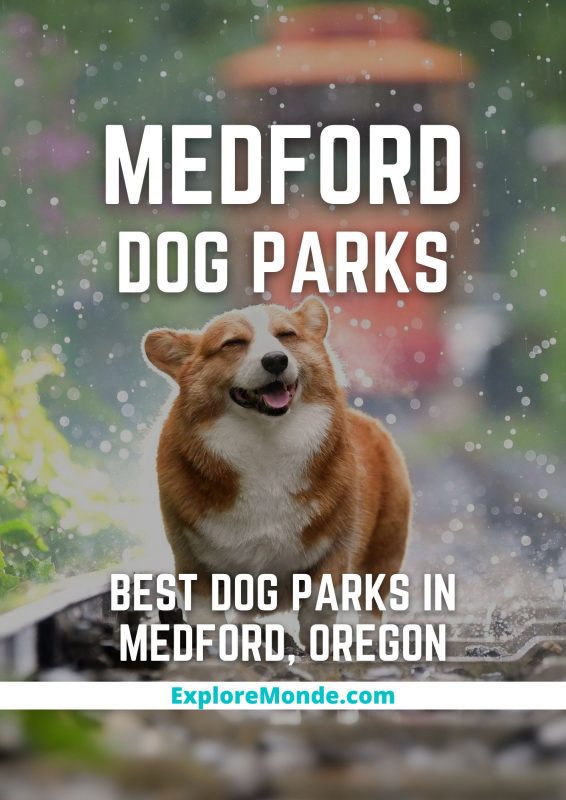 8 Best Dog Parks in Medford, Oregon